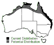 Para Grass map
