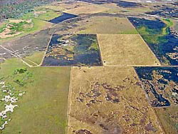 Aerial view of plots