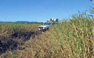 Vehicle and para grass
