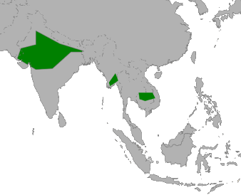 Sarus Crane distribution in Asia