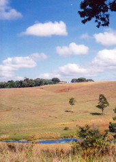 Tableland paddocks and dam