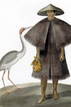 Philippines Sarus Crane