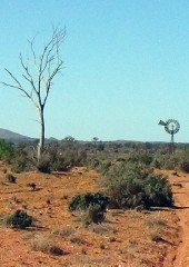 Windmill