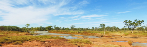 Nicholson River
